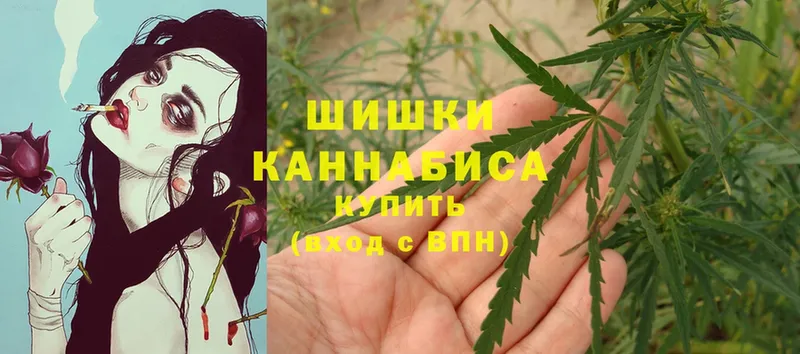 Канабис White Widow  Избербаш 